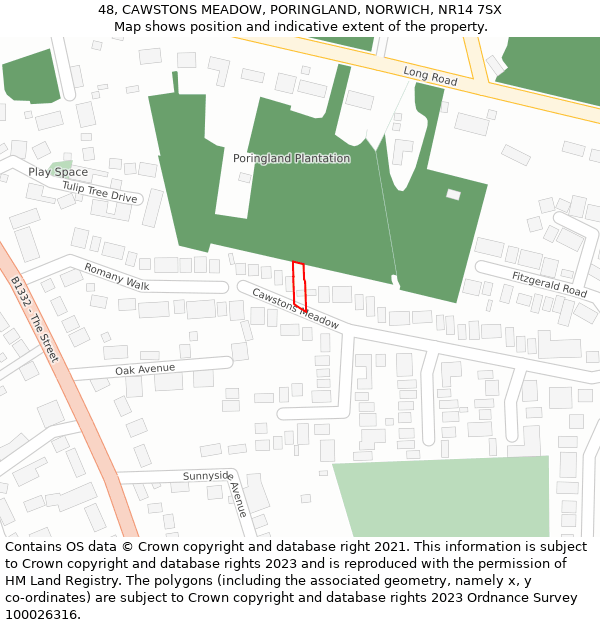 48, CAWSTONS MEADOW, PORINGLAND, NORWICH, NR14 7SX: Location map and indicative extent of plot