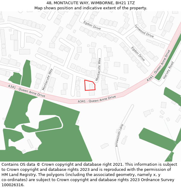 48, MONTACUTE WAY, WIMBORNE, BH21 1TZ: Location map and indicative extent of plot
