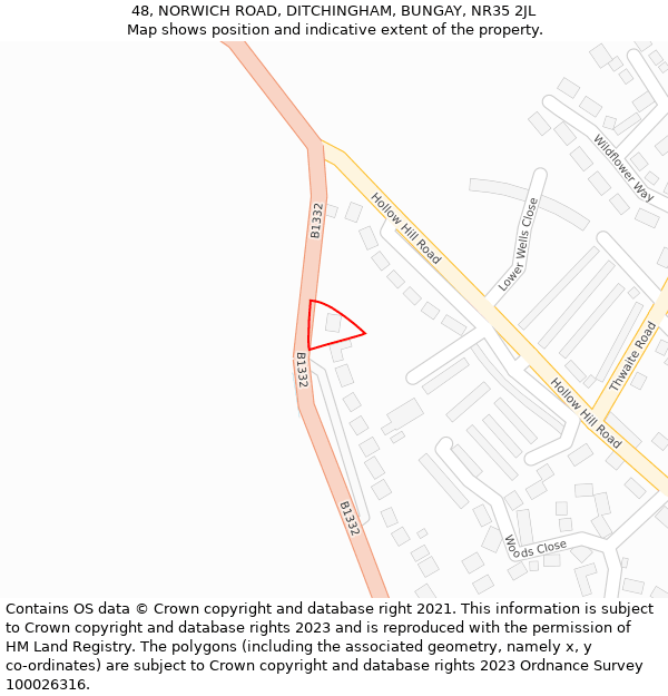 48, NORWICH ROAD, DITCHINGHAM, BUNGAY, NR35 2JL: Location map and indicative extent of plot