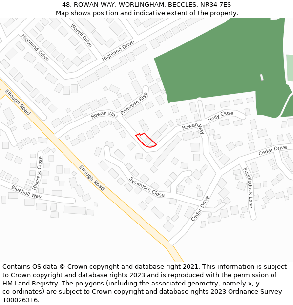 48, ROWAN WAY, WORLINGHAM, BECCLES, NR34 7ES: Location map and indicative extent of plot