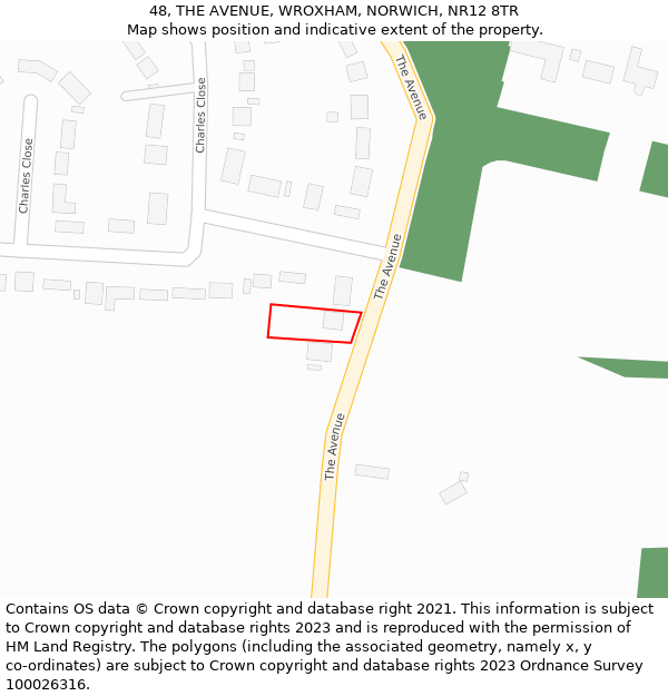 48, THE AVENUE, WROXHAM, NORWICH, NR12 8TR: Location map and indicative extent of plot