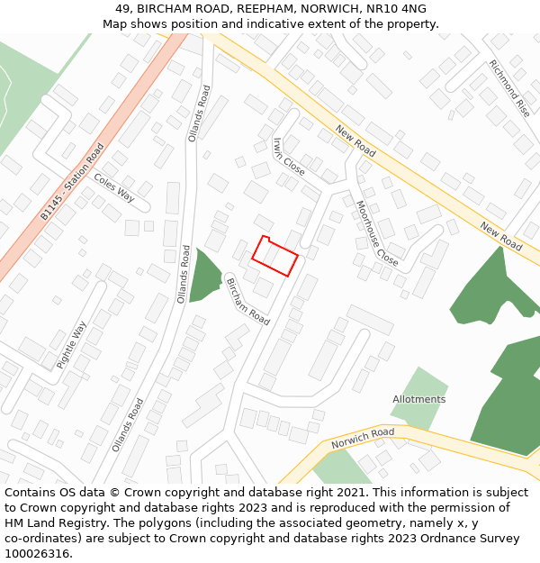 49, BIRCHAM ROAD, REEPHAM, NORWICH, NR10 4NG: Location map and indicative extent of plot