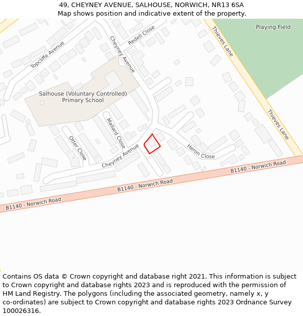 49, CHEYNEY AVENUE, SALHOUSE, NORWICH, NR13 6SA: Location map and indicative extent of plot