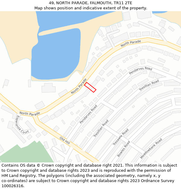 49, NORTH PARADE, FALMOUTH, TR11 2TE: Location map and indicative extent of plot