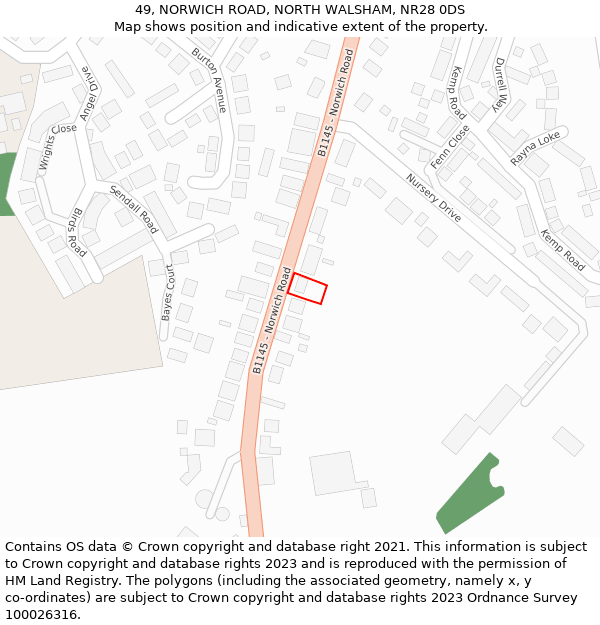 49, NORWICH ROAD, NORTH WALSHAM, NR28 0DS: Location map and indicative extent of plot