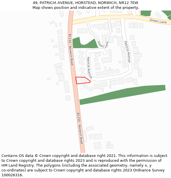 49, PATRICIA AVENUE, HORSTEAD, NORWICH, NR12 7EW: Location map and indicative extent of plot