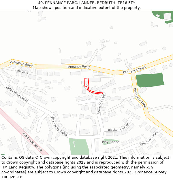 49, PENNANCE PARC, LANNER, REDRUTH, TR16 5TY: Location map and indicative extent of plot