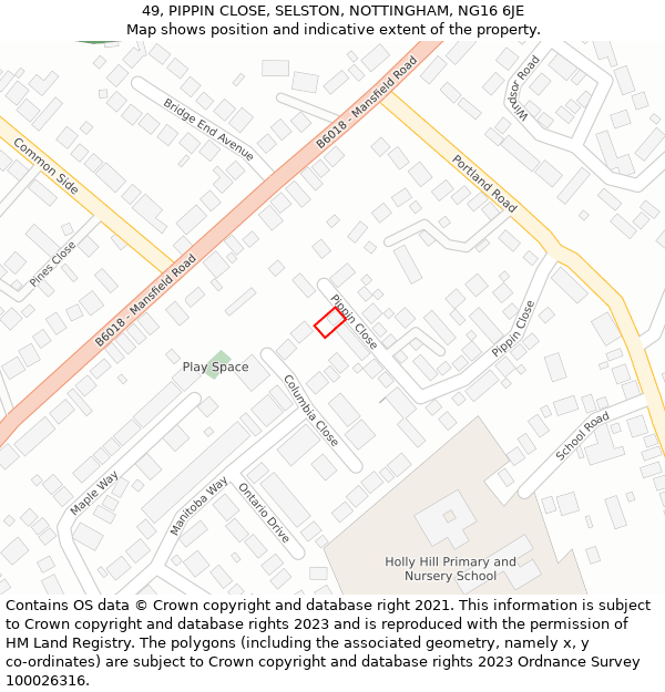 49, PIPPIN CLOSE, SELSTON, NOTTINGHAM, NG16 6JE: Location map and indicative extent of plot