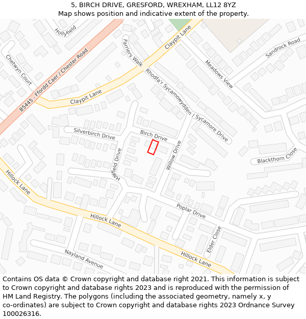 5, BIRCH DRIVE, GRESFORD, WREXHAM, LL12 8YZ: Location map and indicative extent of plot