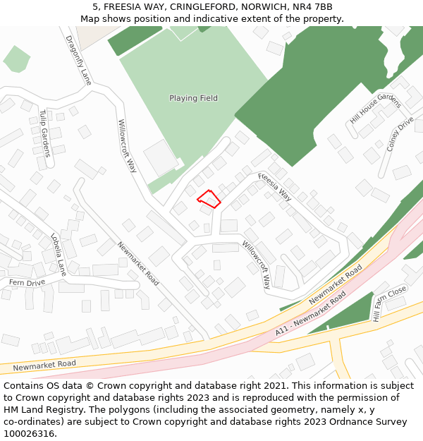 5, FREESIA WAY, CRINGLEFORD, NORWICH, NR4 7BB: Location map and indicative extent of plot