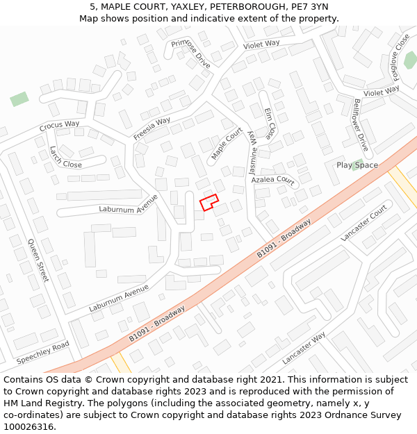 5, MAPLE COURT, YAXLEY, PETERBOROUGH, PE7 3YN: Location map and indicative extent of plot