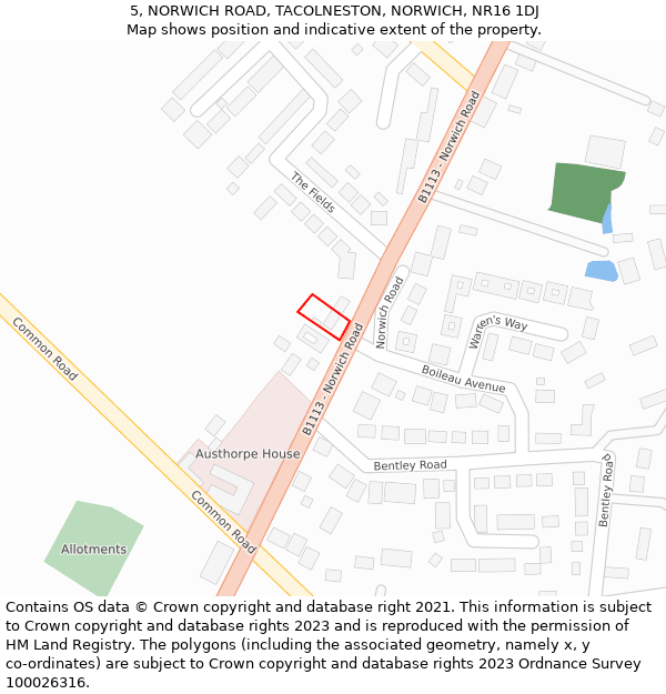 5, NORWICH ROAD, TACOLNESTON, NORWICH, NR16 1DJ: Location map and indicative extent of plot