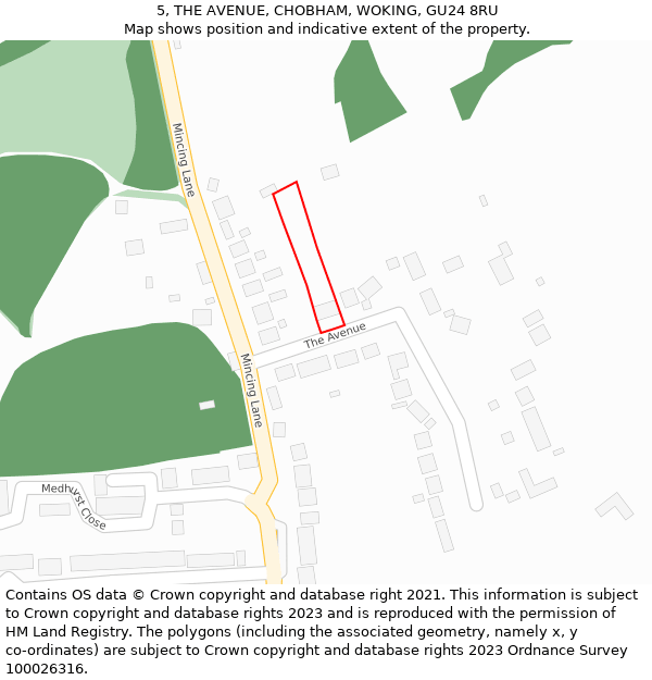 5, THE AVENUE, CHOBHAM, WOKING, GU24 8RU: Location map and indicative extent of plot