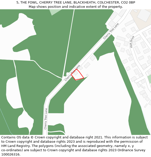5, THE FOWL, CHERRY TREE LANE, BLACKHEATH, COLCHESTER, CO2 0BP: Location map and indicative extent of plot