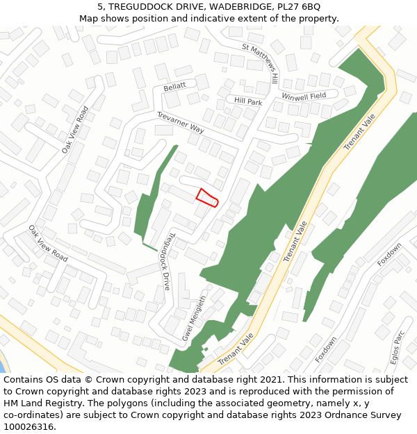 5, TREGUDDOCK DRIVE, WADEBRIDGE, PL27 6BQ: Location map and indicative extent of plot