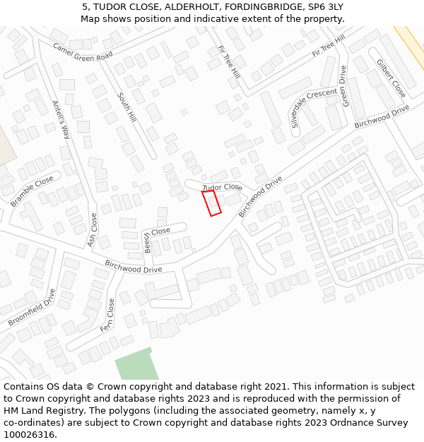 5, TUDOR CLOSE, ALDERHOLT, FORDINGBRIDGE, SP6 3LY: Location map and indicative extent of plot