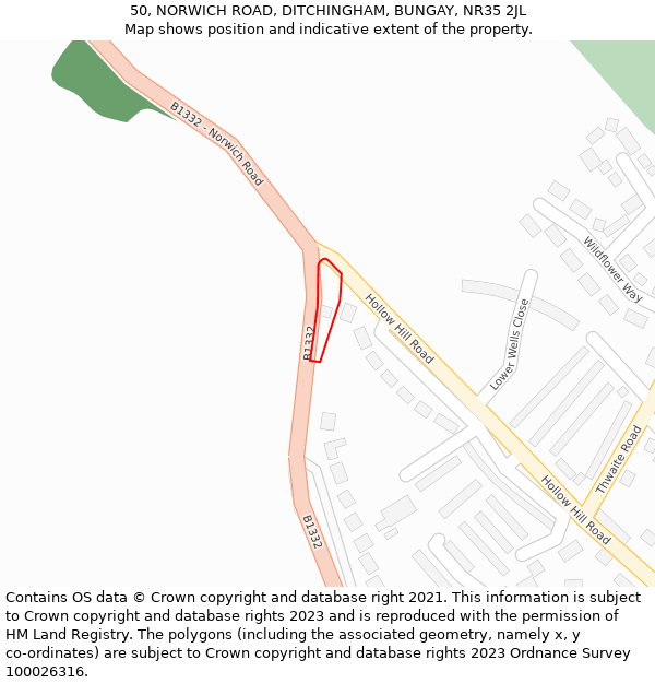 50, NORWICH ROAD, DITCHINGHAM, BUNGAY, NR35 2JL: Location map and indicative extent of plot