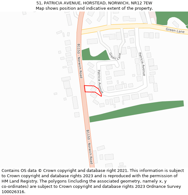 51, PATRICIA AVENUE, HORSTEAD, NORWICH, NR12 7EW: Location map and indicative extent of plot