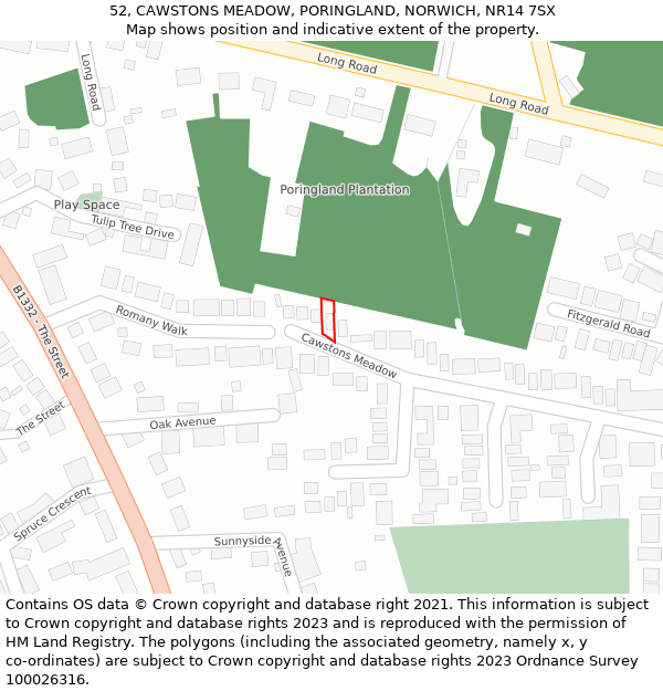 52, CAWSTONS MEADOW, PORINGLAND, NORWICH, NR14 7SX: Location map and indicative extent of plot