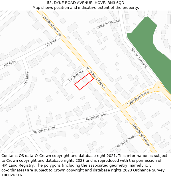 53, DYKE ROAD AVENUE, HOVE, BN3 6QD: Location map and indicative extent of plot