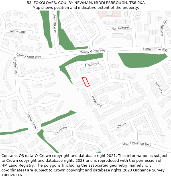 53, FOXGLOVES, COULBY NEWHAM, MIDDLESBROUGH, TS8 0XA: Location map and indicative extent of plot