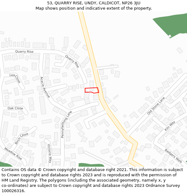 53, QUARRY RISE, UNDY, CALDICOT, NP26 3JU: Location map and indicative extent of plot