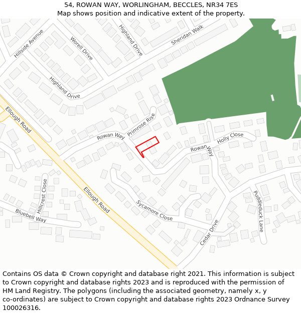 54, ROWAN WAY, WORLINGHAM, BECCLES, NR34 7ES: Location map and indicative extent of plot