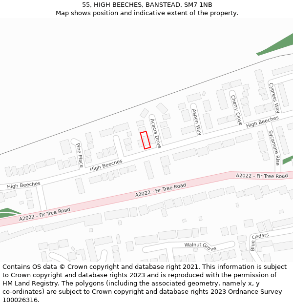 55, HIGH BEECHES, BANSTEAD, SM7 1NB: Location map and indicative extent of plot