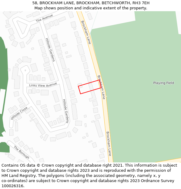 58, BROCKHAM LANE, BROCKHAM, BETCHWORTH, RH3 7EH: Location map and indicative extent of plot