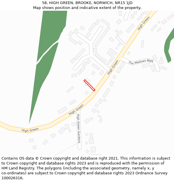 58, HIGH GREEN, BROOKE, NORWICH, NR15 1JD: Location map and indicative extent of plot