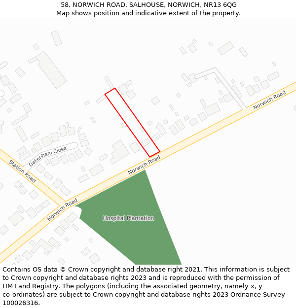 58, NORWICH ROAD, SALHOUSE, NORWICH, NR13 6QG: Location map and indicative extent of plot