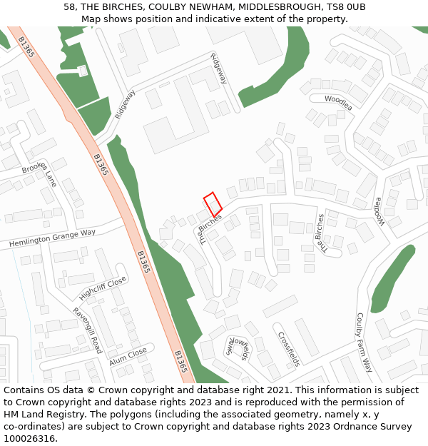 58, THE BIRCHES, COULBY NEWHAM, MIDDLESBROUGH, TS8 0UB: Location map and indicative extent of plot