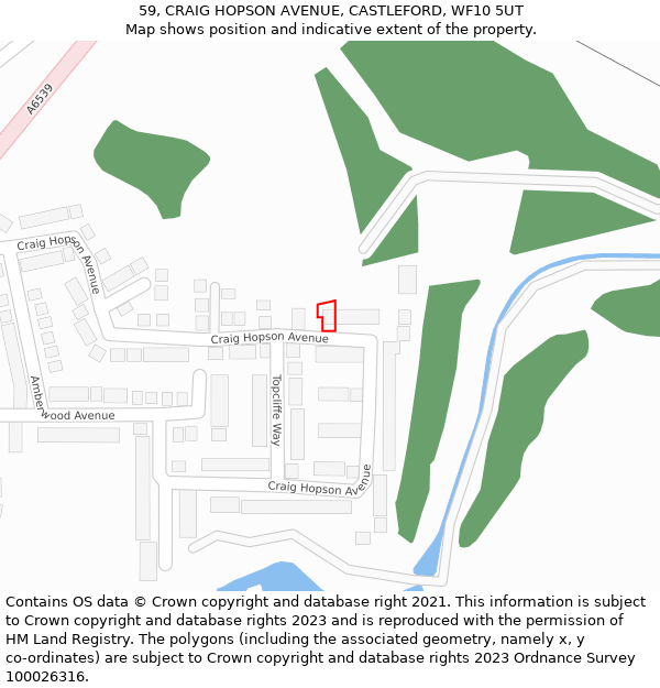 59, CRAIG HOPSON AVENUE, CASTLEFORD, WF10 5UT: Location map and indicative extent of plot