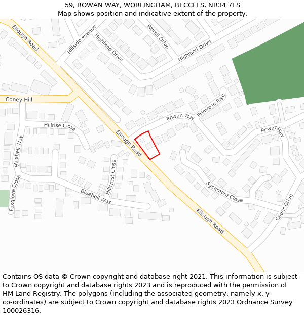 59, ROWAN WAY, WORLINGHAM, BECCLES, NR34 7ES: Location map and indicative extent of plot