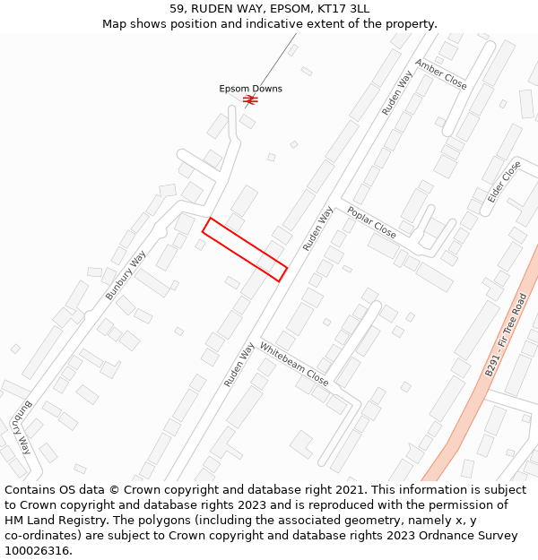 59, RUDEN WAY, EPSOM, KT17 3LL: Location map and indicative extent of plot