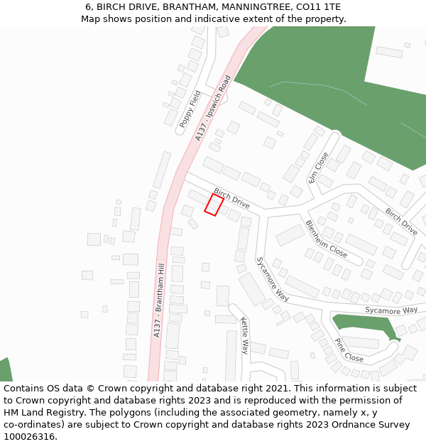 6, BIRCH DRIVE, BRANTHAM, MANNINGTREE, CO11 1TE: Location map and indicative extent of plot