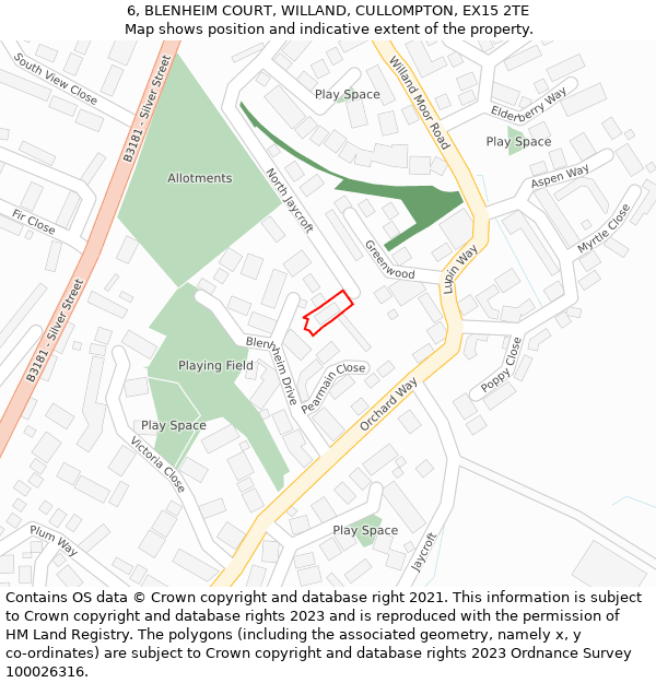 6, BLENHEIM COURT, WILLAND, CULLOMPTON, EX15 2TE: Location map and indicative extent of plot