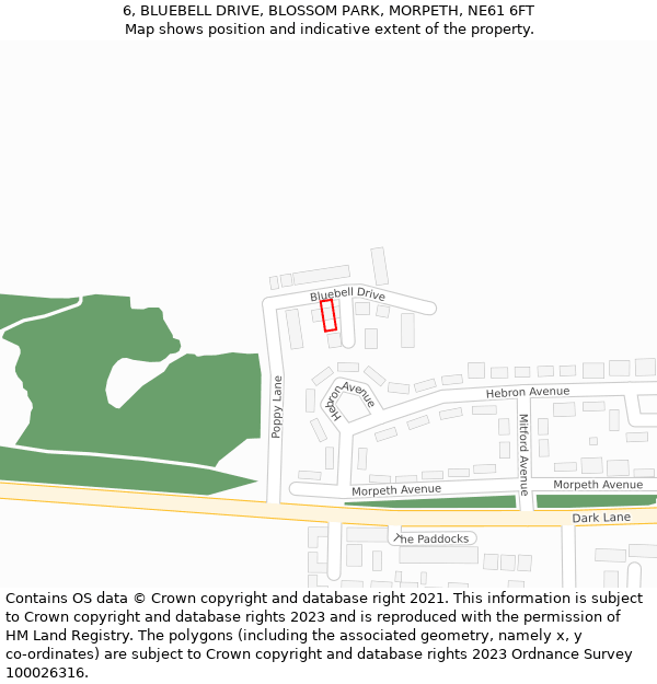 6, BLUEBELL DRIVE, BLOSSOM PARK, MORPETH, NE61 6FT: Location map and indicative extent of plot