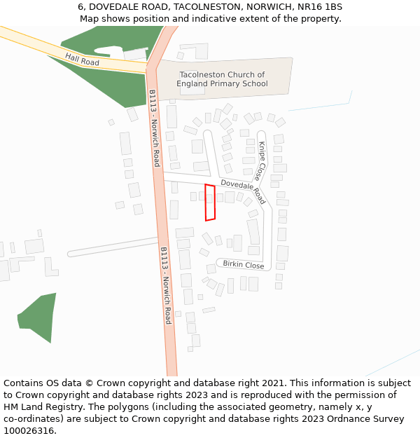 6, DOVEDALE ROAD, TACOLNESTON, NORWICH, NR16 1BS: Location map and indicative extent of plot