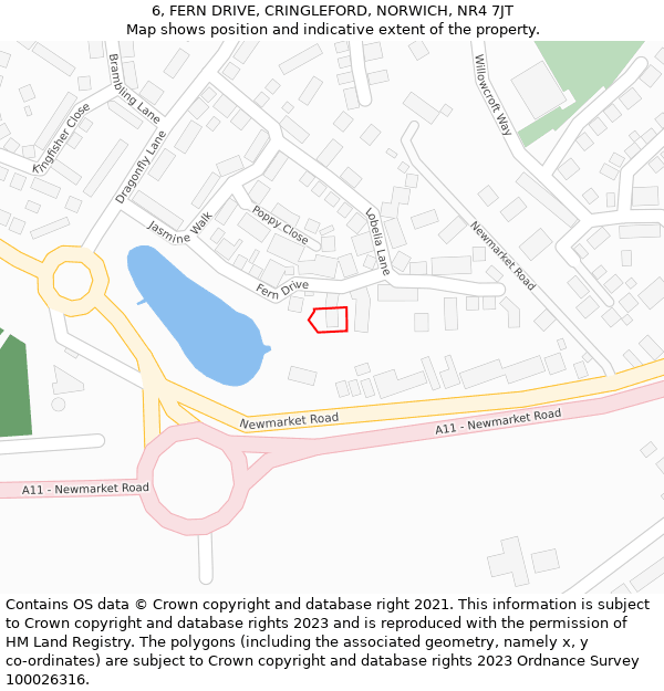 6, FERN DRIVE, CRINGLEFORD, NORWICH, NR4 7JT: Location map and indicative extent of plot