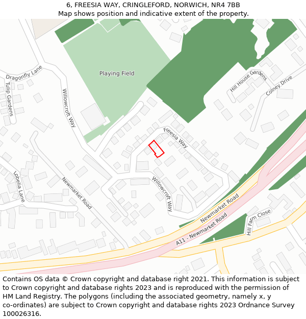 6, FREESIA WAY, CRINGLEFORD, NORWICH, NR4 7BB: Location map and indicative extent of plot