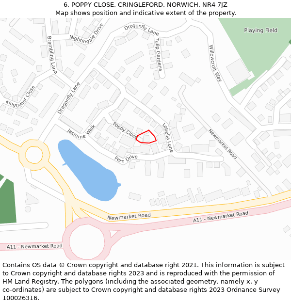 6, POPPY CLOSE, CRINGLEFORD, NORWICH, NR4 7JZ: Location map and indicative extent of plot