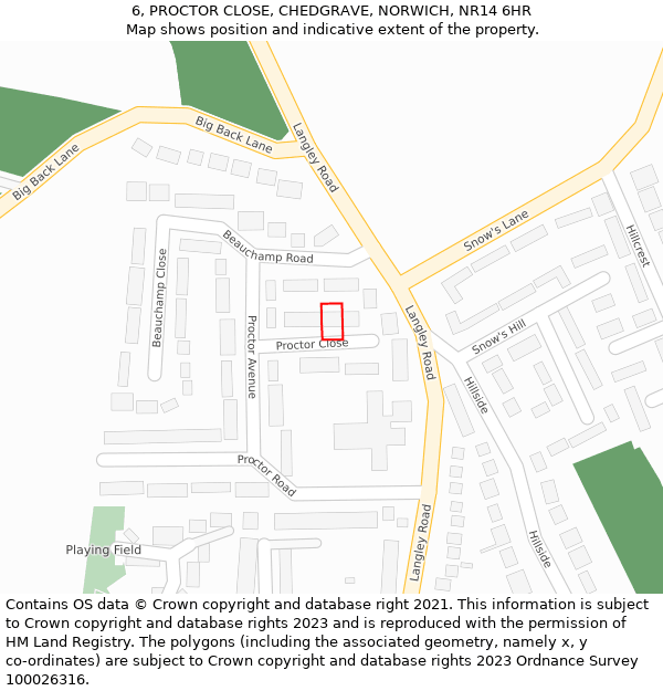 6, PROCTOR CLOSE, CHEDGRAVE, NORWICH, NR14 6HR: Location map and indicative extent of plot