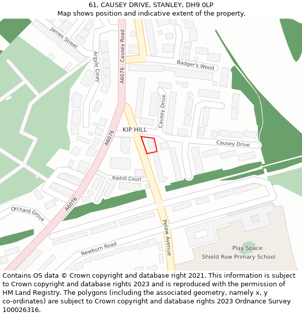 61, CAUSEY DRIVE, STANLEY, DH9 0LP: Location map and indicative extent of plot