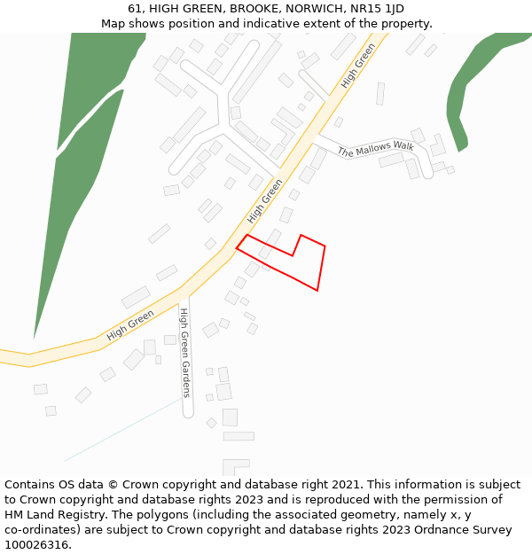 61, HIGH GREEN, BROOKE, NORWICH, NR15 1JD: Location map and indicative extent of plot