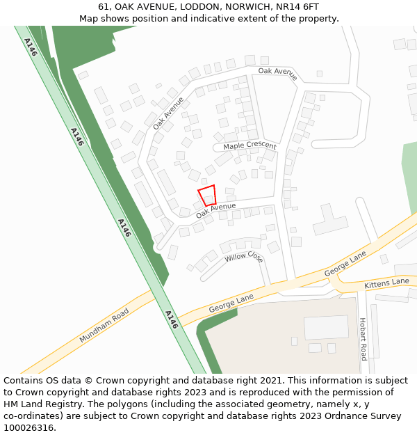 61, OAK AVENUE, LODDON, NORWICH, NR14 6FT: Location map and indicative extent of plot