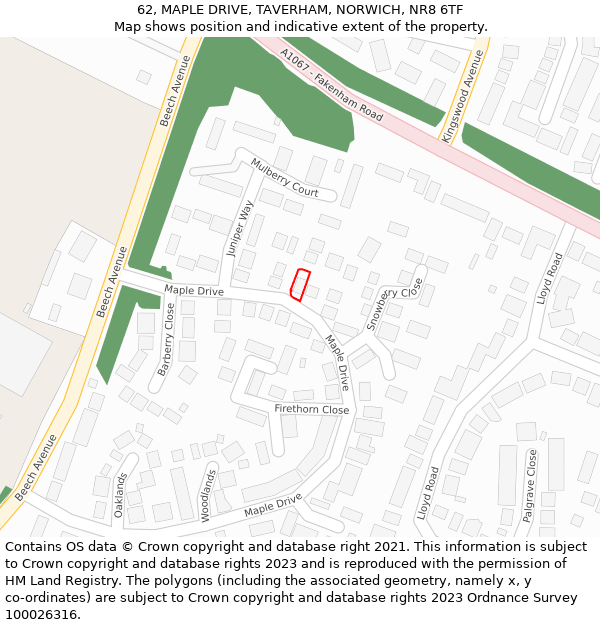 62, MAPLE DRIVE, TAVERHAM, NORWICH, NR8 6TF: Location map and indicative extent of plot