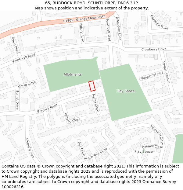 65, BURDOCK ROAD, SCUNTHORPE, DN16 3UP: Location map and indicative extent of plot