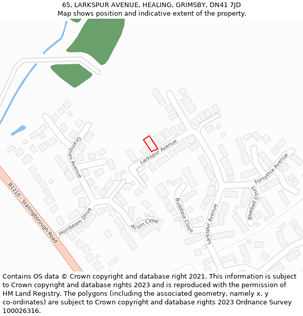 65, LARKSPUR AVENUE, HEALING, GRIMSBY, DN41 7JD: Location map and indicative extent of plot