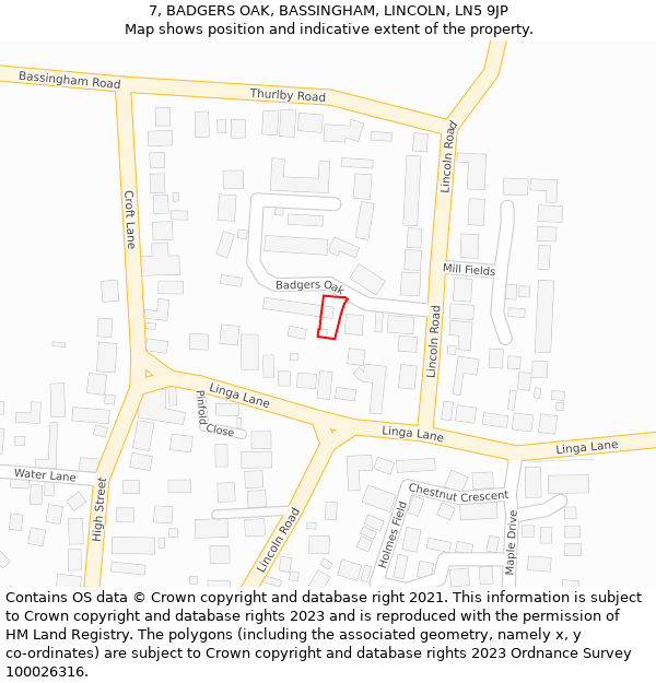 7, BADGERS OAK, BASSINGHAM, LINCOLN, LN5 9JP: Location map and indicative extent of plot